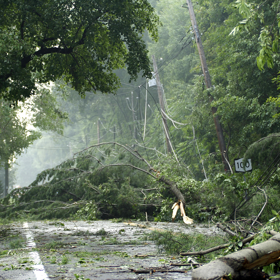The image depicts a street scene with fallen tree branches and debris scattered across the roadway, indicating recent severe weather conditions such as a storm or hurricane.